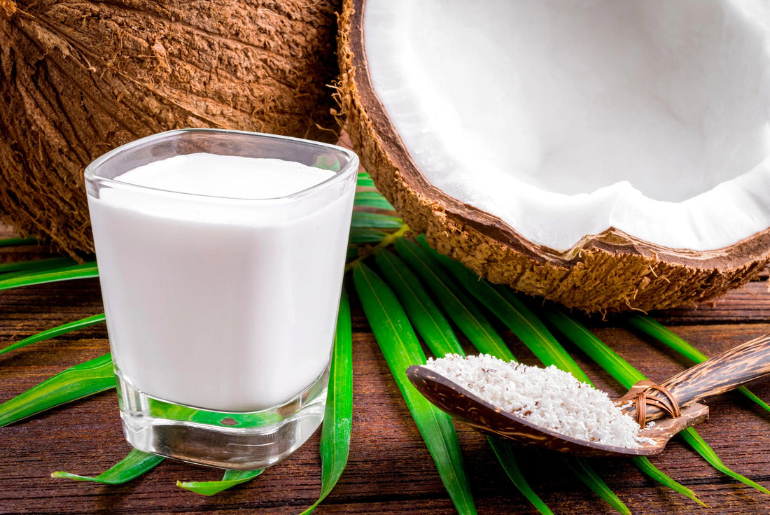 Plant-Based Milk Maker Plantesia